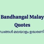 65+ Bandhangal Malayalam Quotes About Relationships That Feel Real