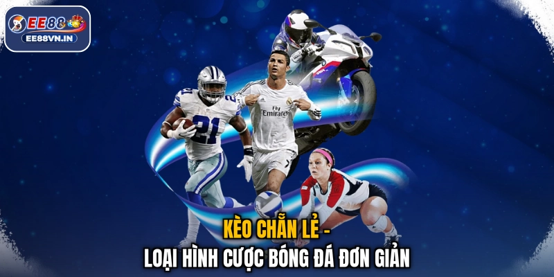 Kèo chẵn lẻ - Loại hình cược bóng đá đơn giản